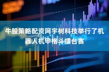 牛股策略配资网宇树科技举行了机器人机甲格斗擂台赛